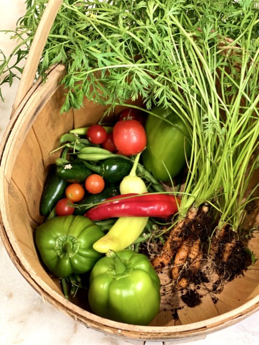 a basket full of garden vegetables such as tomatoes, peppers, green beans, jalopeni peppers, banana peppers, bell peppers, and baby carrots.