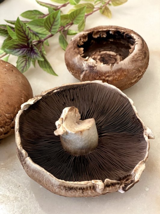 portobello mushrooms an fresh basil leaves